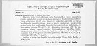 Image Associated With the Occurence